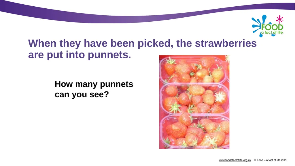 Growing strawberries Do you know what these are? - slide 13 of 18