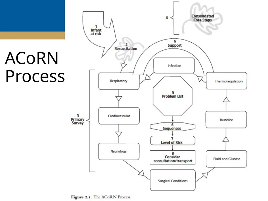 ACoRN Introduction ACoRN 2nd Edition Faculty - slide 5 of 16