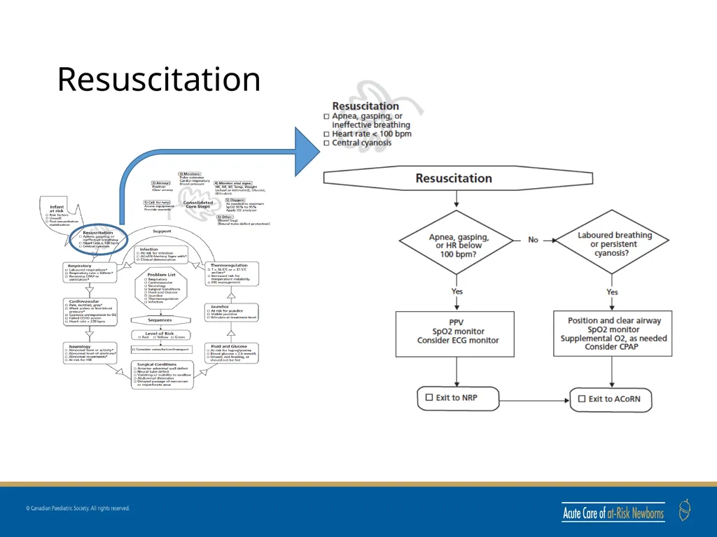 ACoRN Introduction ACoRN 2nd Edition Faculty - slide 7 of 16