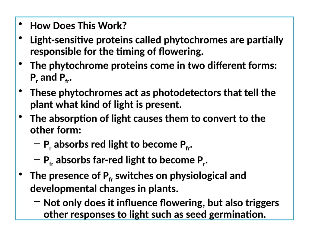 Plant Physiology : lecture :(5) by Dr. Manal Zbari - slide 20 of 26