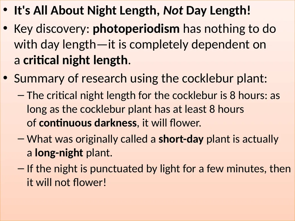 Plant Physiology : lecture :(5) by Dr. Manal Zbari - slide 10 of 26