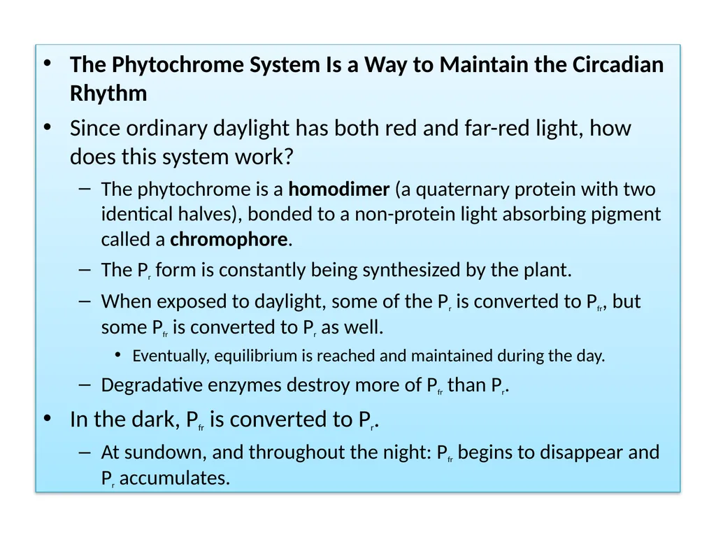 Plant Physiology : lecture :(5) by Dr. Manal Zbari - slide 24 of 26