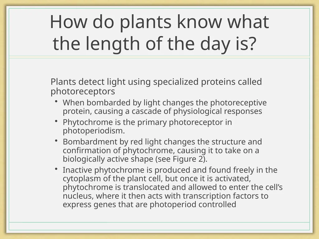 Photoperiod The Floral Initiator GrowNextGen.org - slide 10 of 13