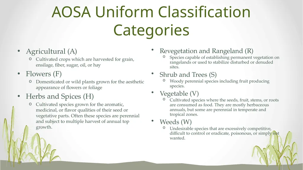 Referee Committee Reorganization Options What are - slide 8 of 17