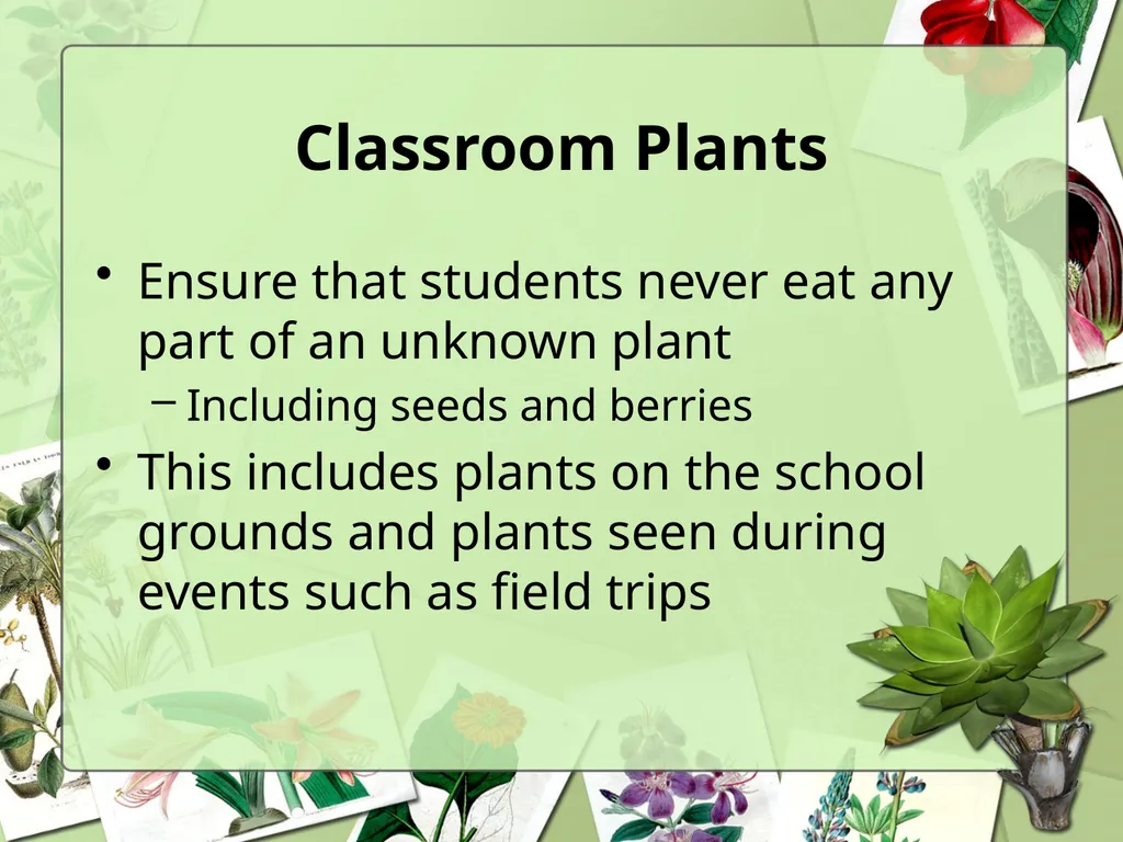 Science Safety: Plants in the Classroom Key - slide 4 of 15
