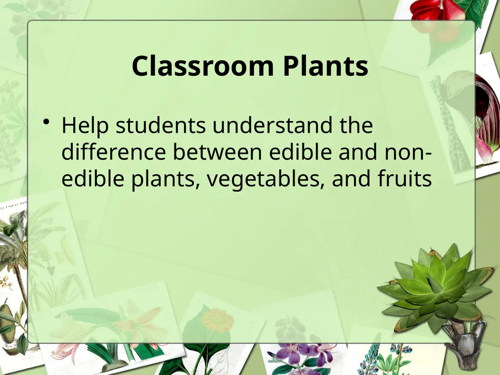 Science Safety: Plants in the Classroom Key - slide 5 of 15