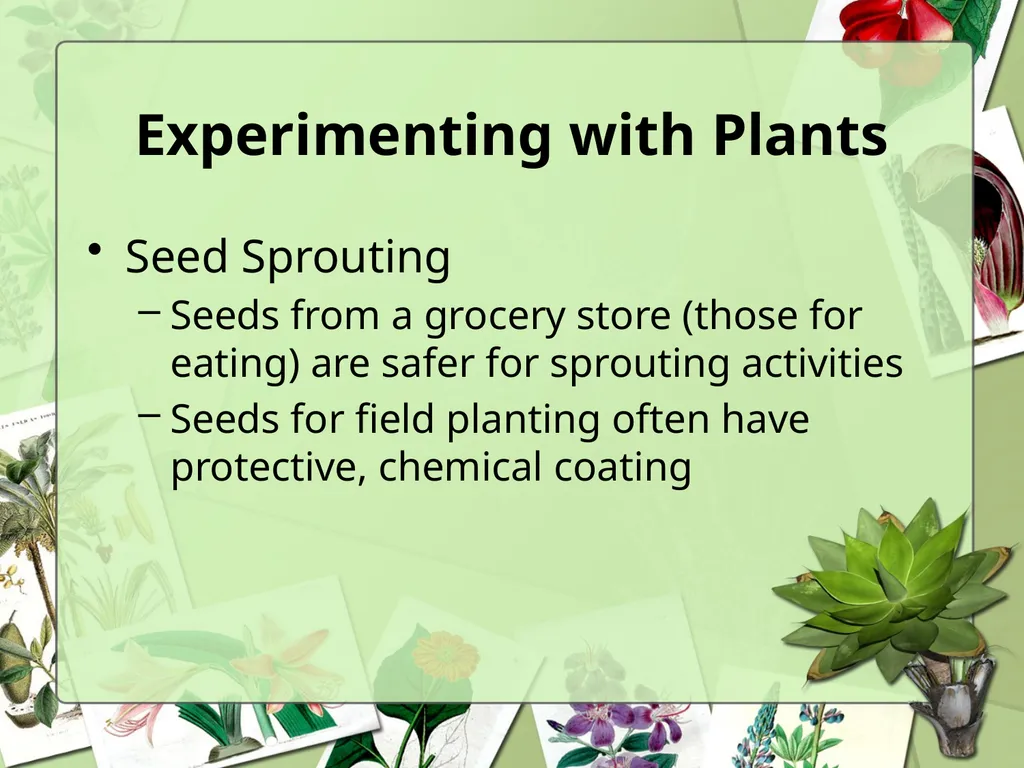 Science Safety: Plants in the Classroom Key - slide 11 of 15