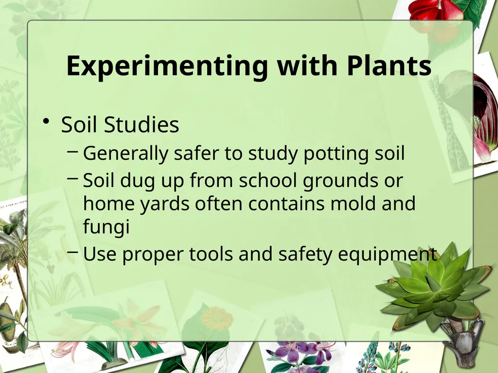 Science Safety: Plants in the Classroom Key - slide 13 of 15