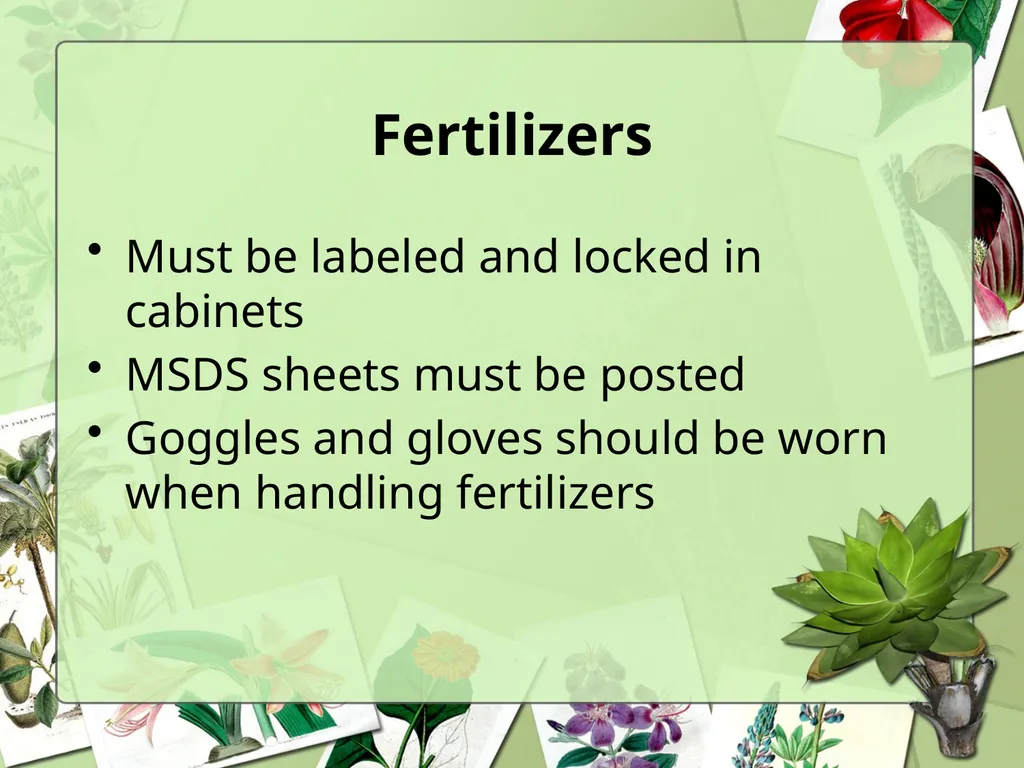 Science Safety: Plants in the Classroom Key - slide 10 of 15