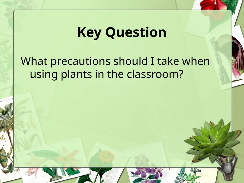 Science Safety: Plants in the Classroom Key - slide 2 of 15