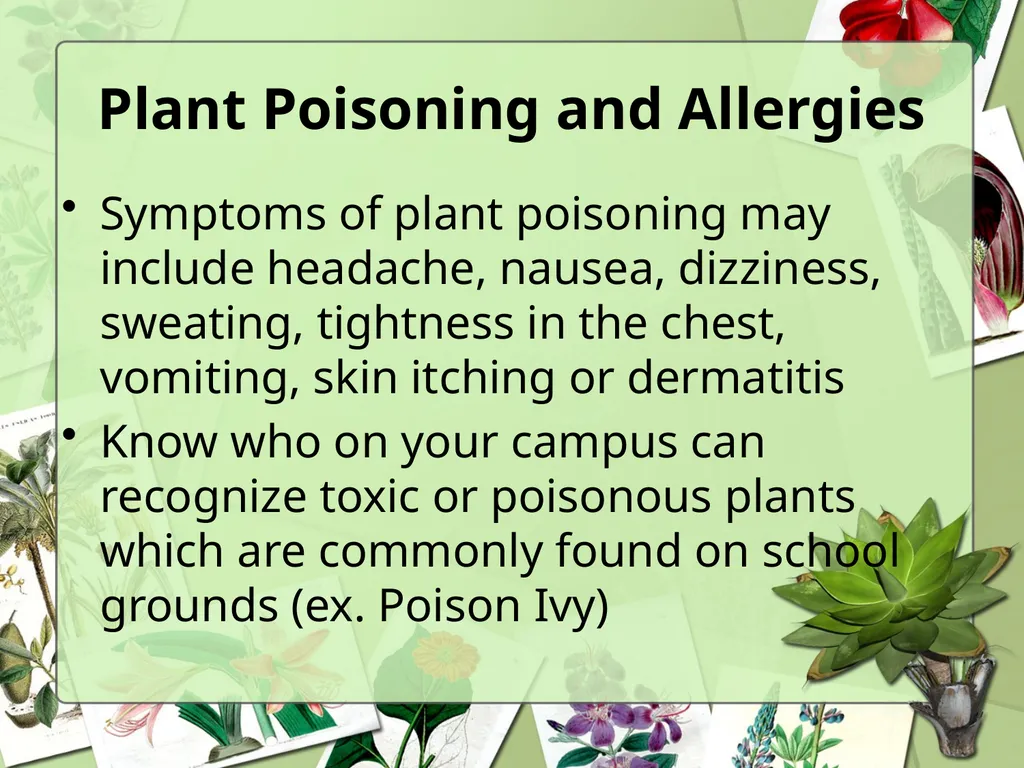 Science Safety: Plants in the Classroom Key - slide 9 of 15