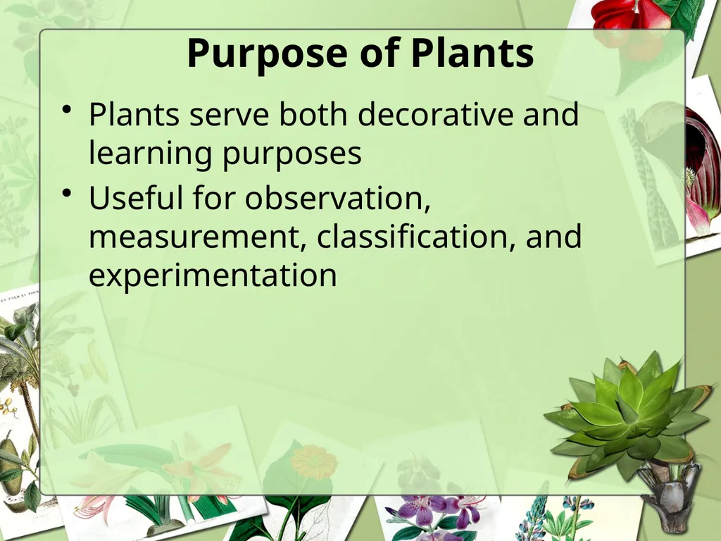 Science Safety: Plants in the Classroom Key - slide 3 of 15