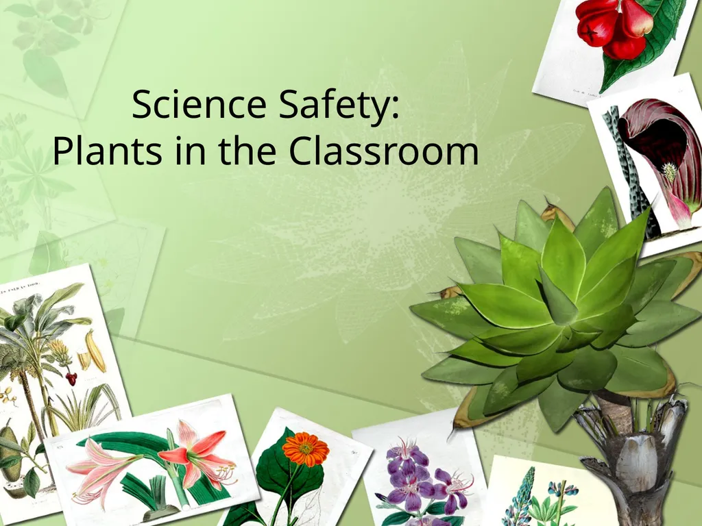 Science Safety: Plants in the Classroom Key - slide 1 of 15