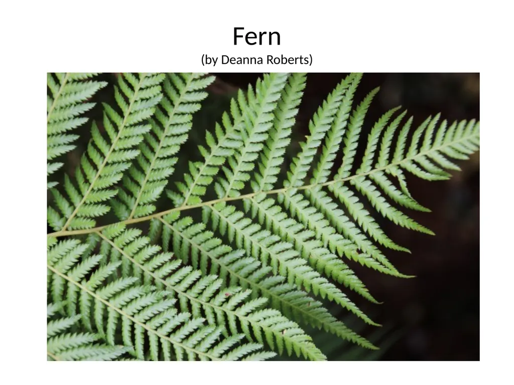 Fractals Self-similar Repeating pattern Result: - slide 2 of 9