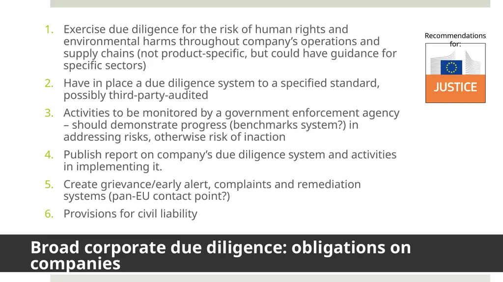 Duncan Brack Enforcing due diligence legislation - slide 4 of 8