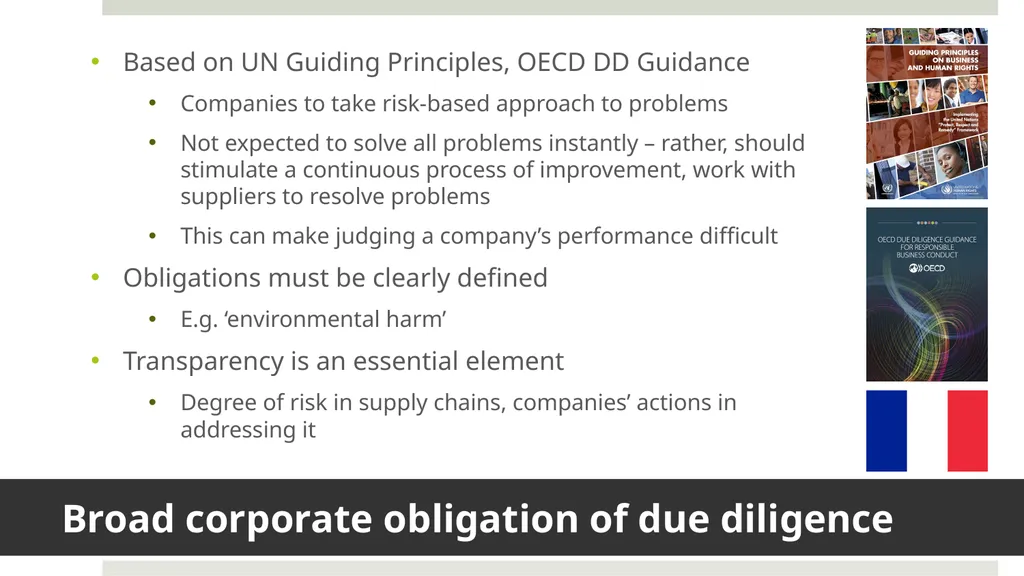 Duncan Brack Enforcing due diligence legislation - slide 3 of 8