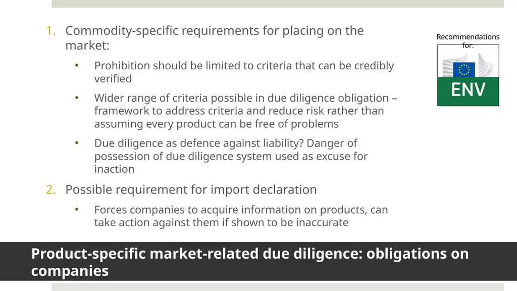 Duncan Brack Enforcing due diligence legislation - slide 6 of 8