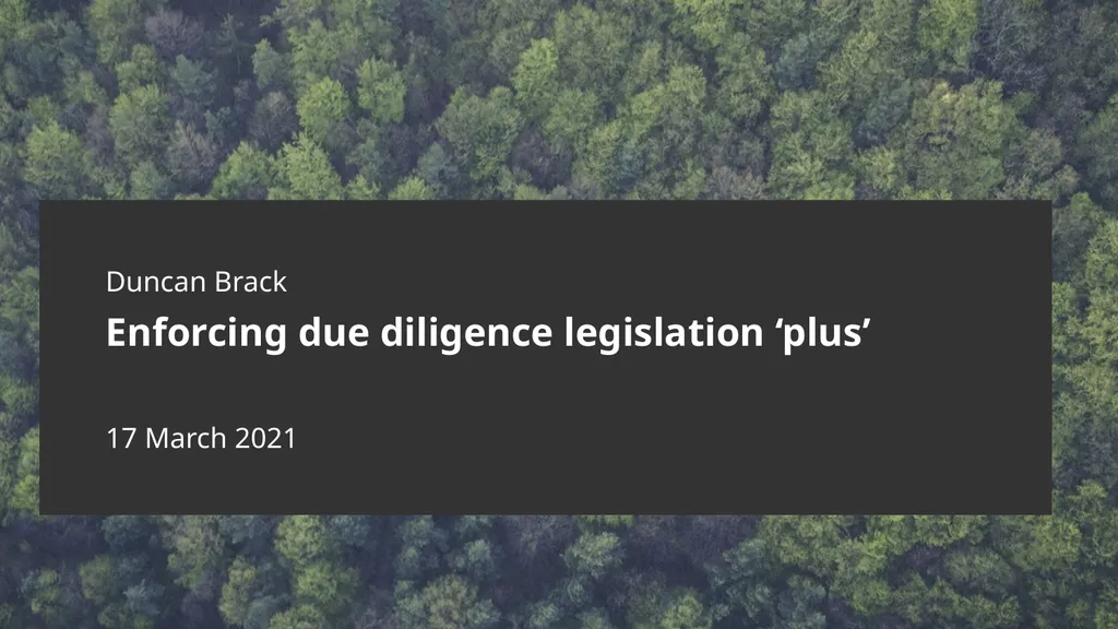 Duncan Brack Enforcing due diligence legislation