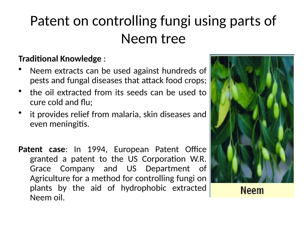 Proposal to include the Indian Traditional - slide 5 of 22