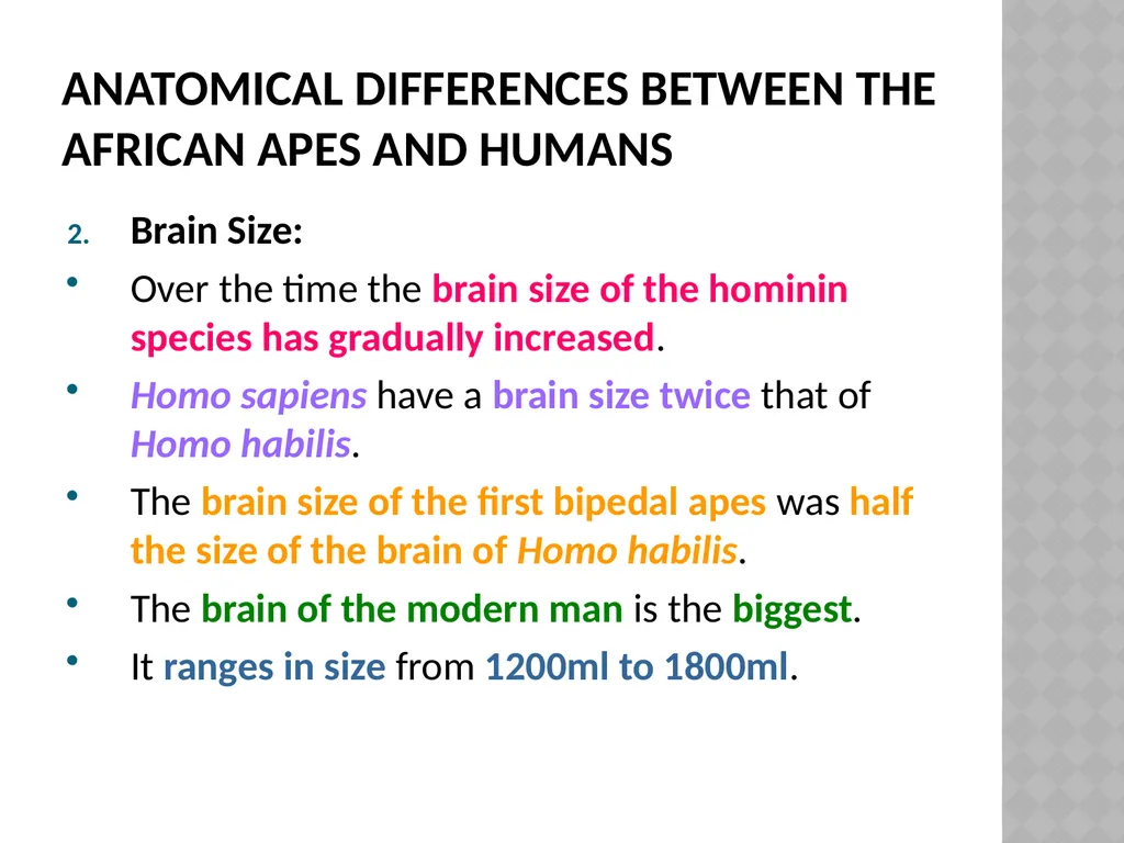 Life sciences Grade 12 CAPS structured, clear, - slide 46 of 93