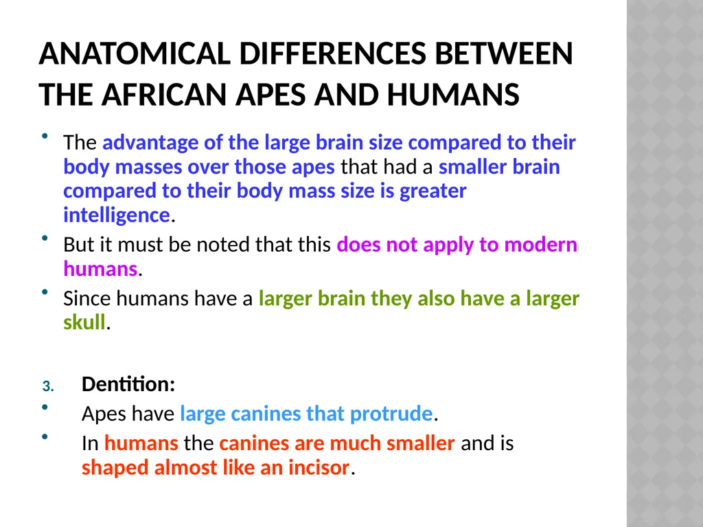 Life sciences Grade 12 CAPS structured, clear, - slide 47 of 93