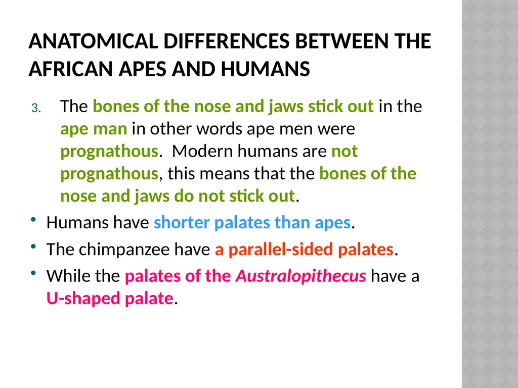 Life sciences Grade 12 CAPS structured, clear, - slide 51 of 93