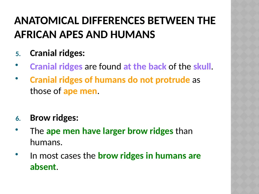 Life sciences Grade 12 CAPS structured, clear, - slide 53 of 93