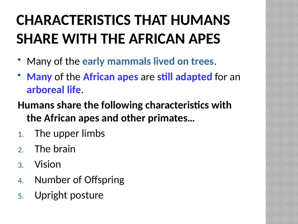 Life sciences Grade 12 CAPS structured, clear, - slide 26 of 93