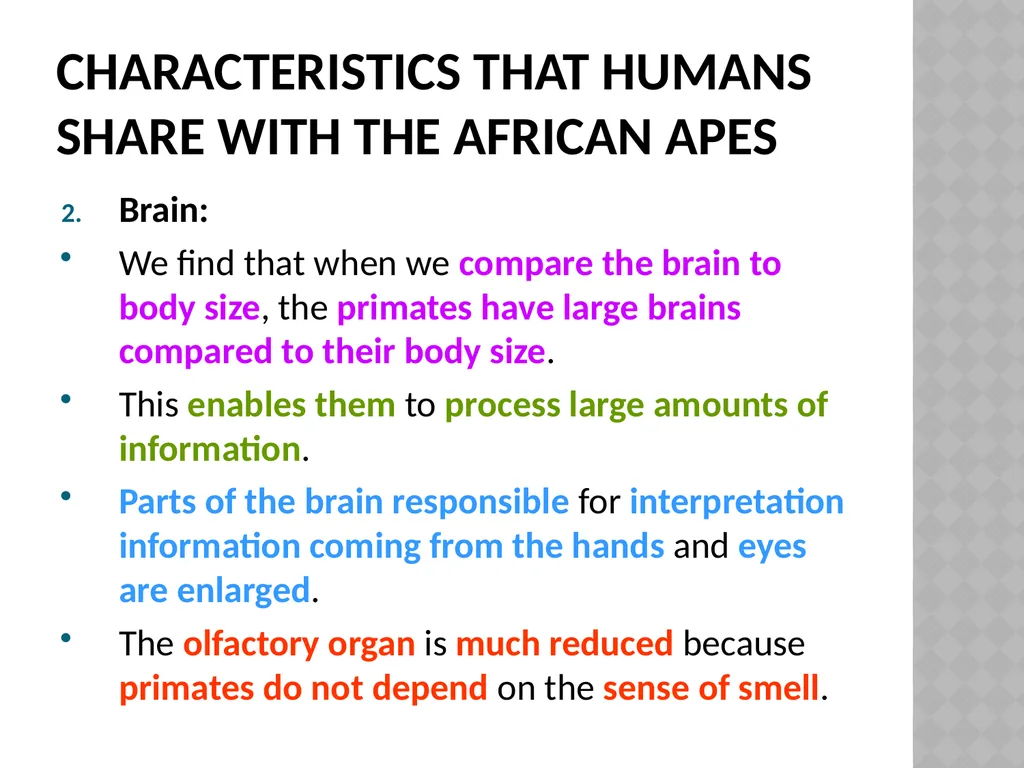 Life sciences Grade 12 CAPS structured, clear, - slide 29 of 93