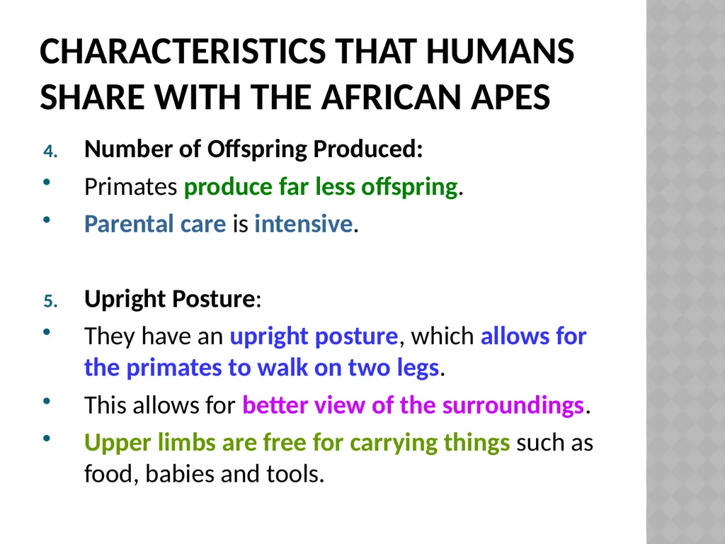 Life sciences Grade 12 CAPS structured, clear, - slide 31 of 93