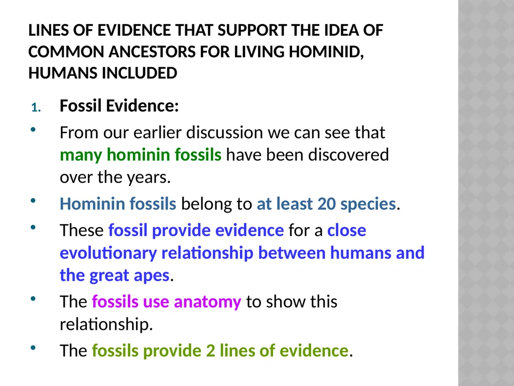 Life sciences Grade 12 CAPS structured, clear, - slide 20 of 93