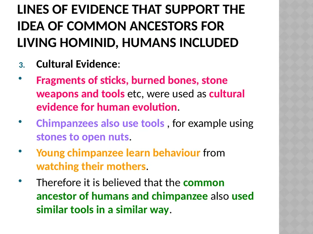 Life sciences Grade 12 CAPS structured, clear, - slide 24 of 93