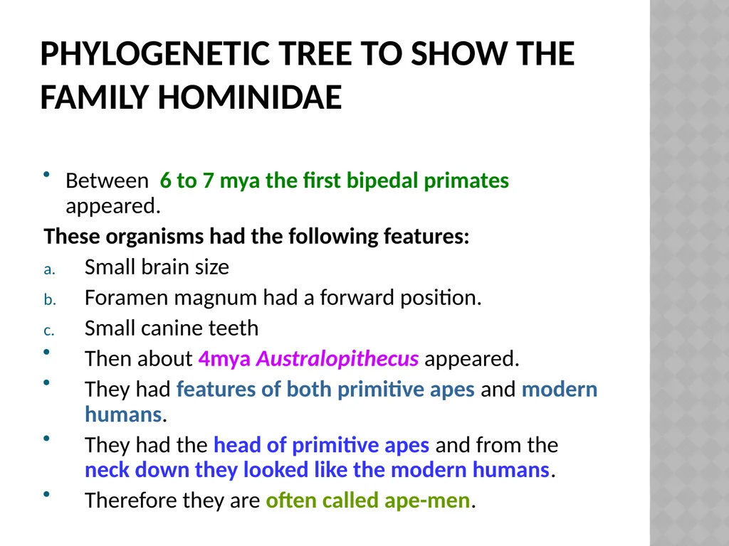 Life sciences Grade 12 CAPS structured, clear, - slide 12 of 93