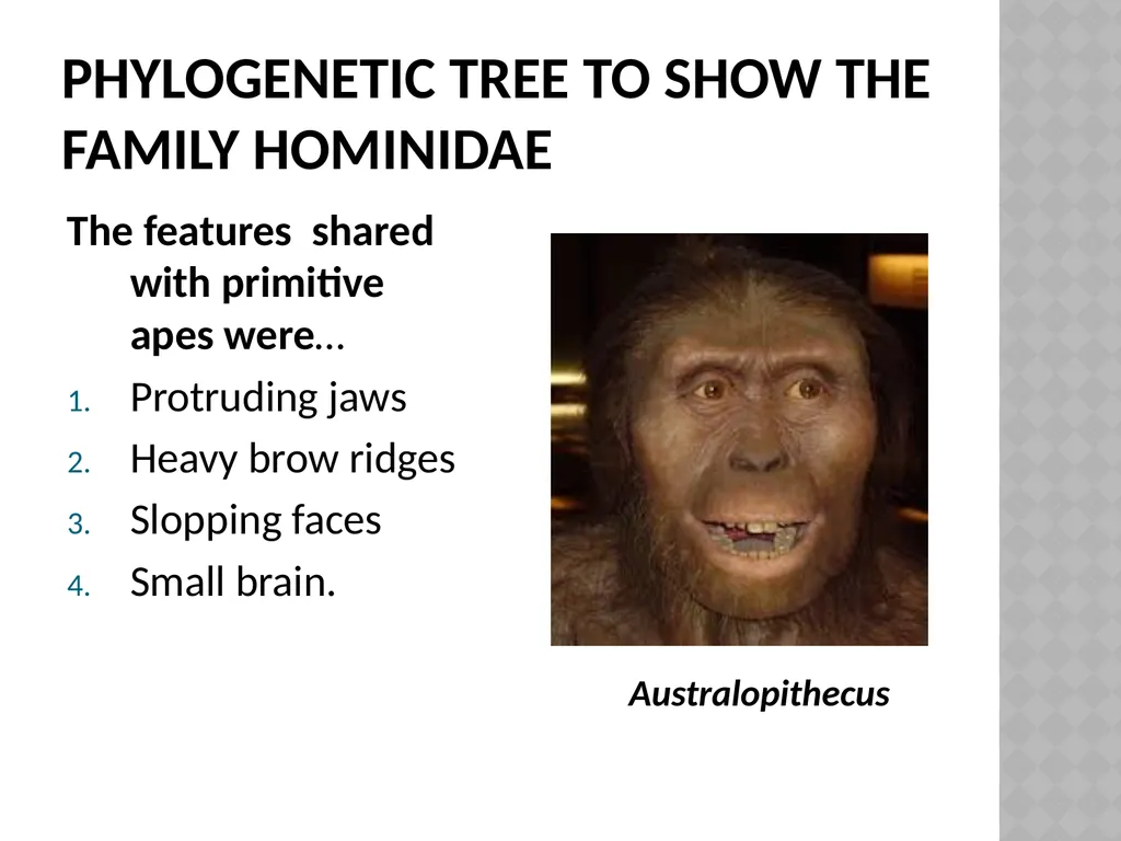 Life sciences Grade 12 CAPS structured, clear, - slide 13 of 93