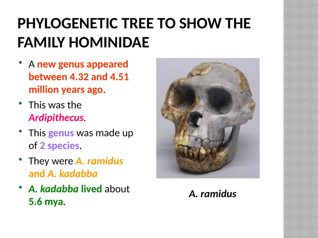 Life sciences Grade 12 CAPS structured, clear, - slide 14 of 93