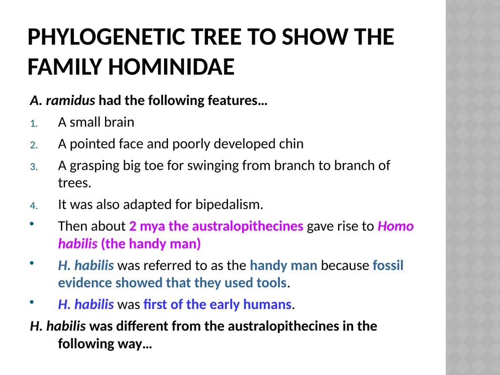 Life sciences Grade 12 CAPS structured, clear, - slide 15 of 93