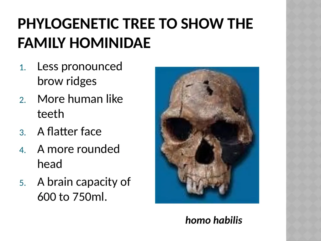Life sciences Grade 12 CAPS structured, clear, - slide 16 of 93