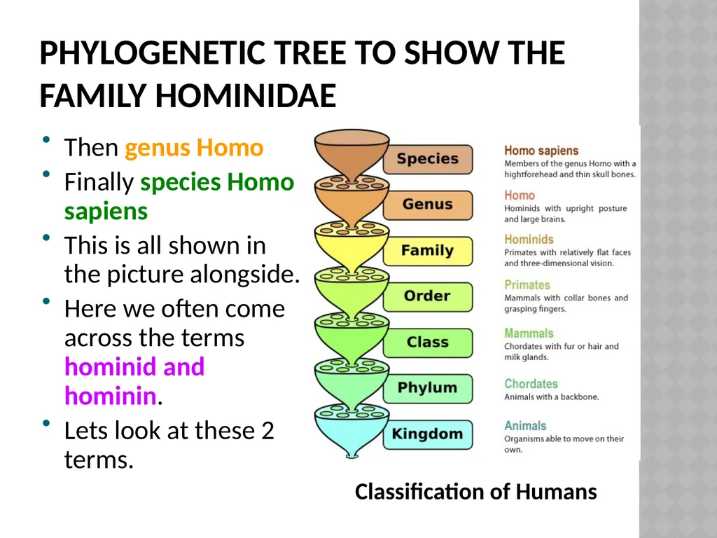 Life sciences Grade 12 CAPS structured, clear, - slide 4 of 93