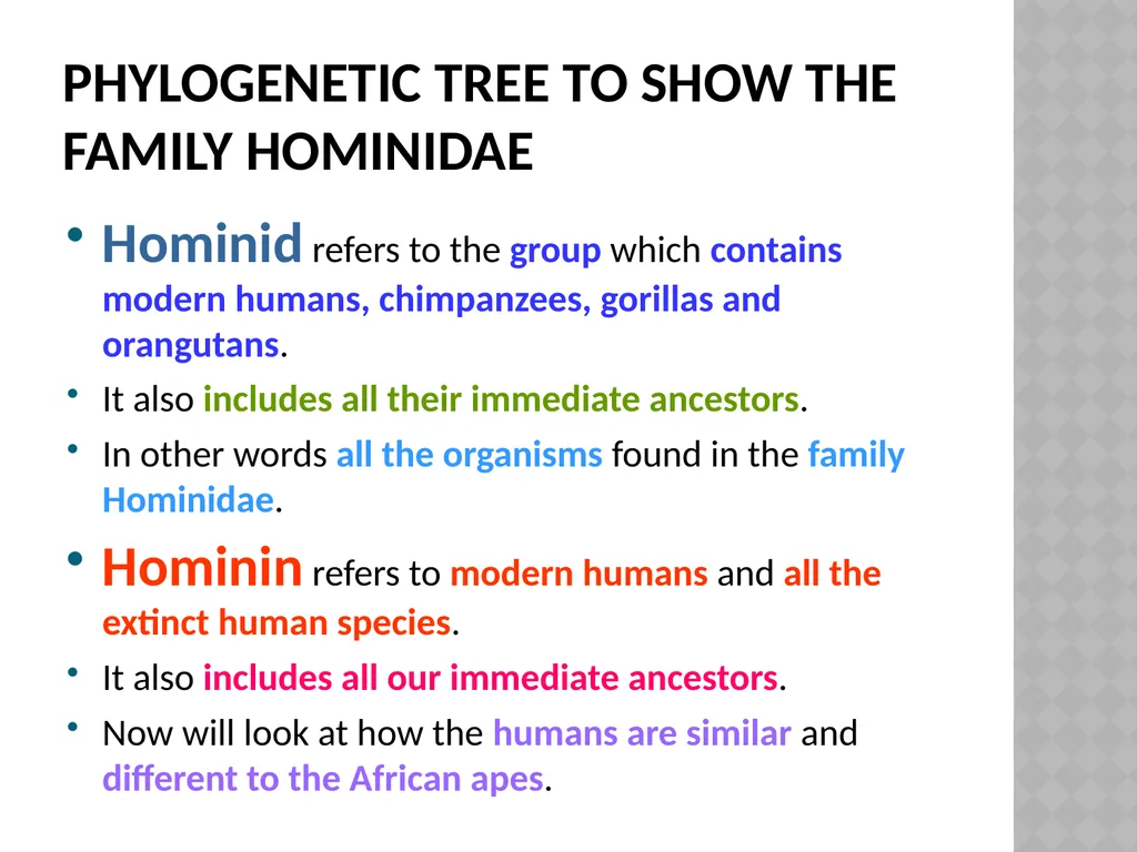 Life sciences Grade 12 CAPS structured, clear, - slide 5 of 93