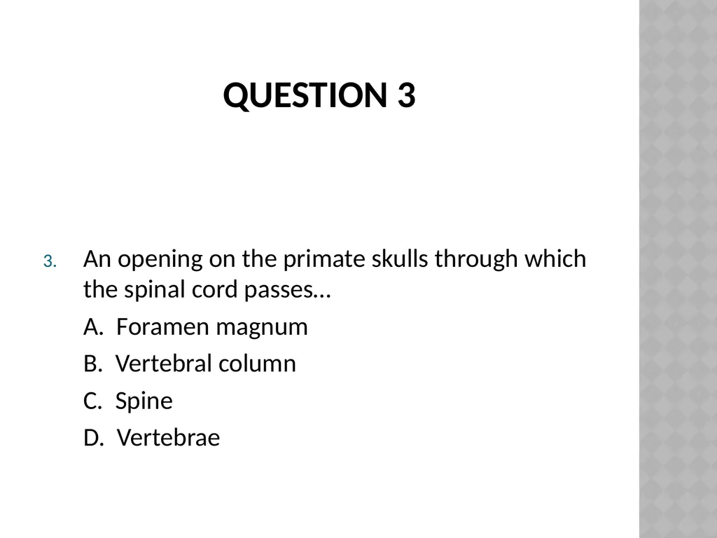 Life sciences Grade 12 CAPS structured, clear, - slide 75 of 93