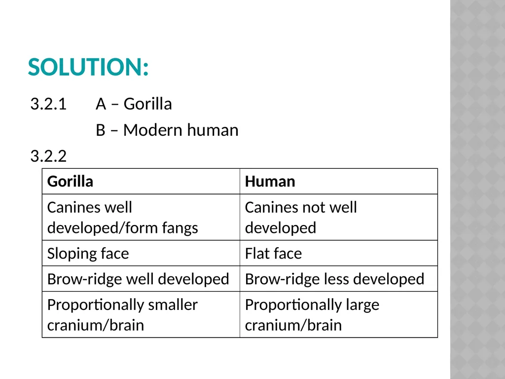 Life sciences Grade 12 CAPS structured, clear, - slide 55 of 93