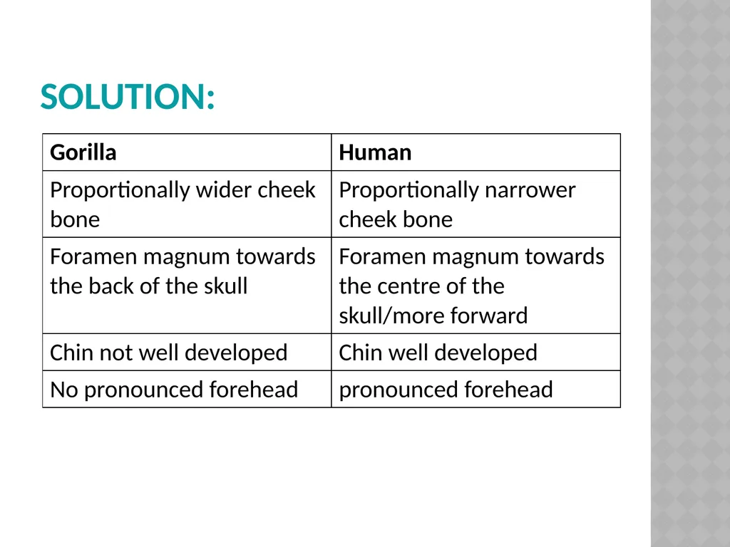 Life sciences Grade 12 CAPS structured, clear, - slide 56 of 93