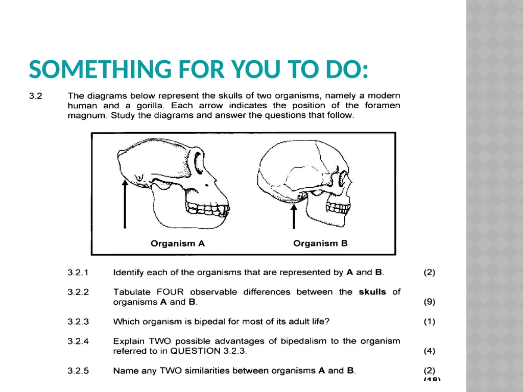 Life sciences Grade 12 CAPS structured, clear, - slide 54 of 93
