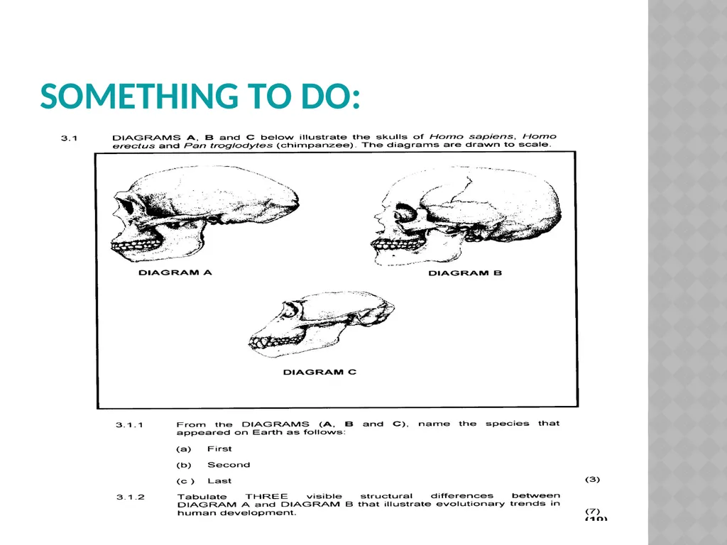 Life sciences Grade 12 CAPS structured, clear, - slide 59 of 93