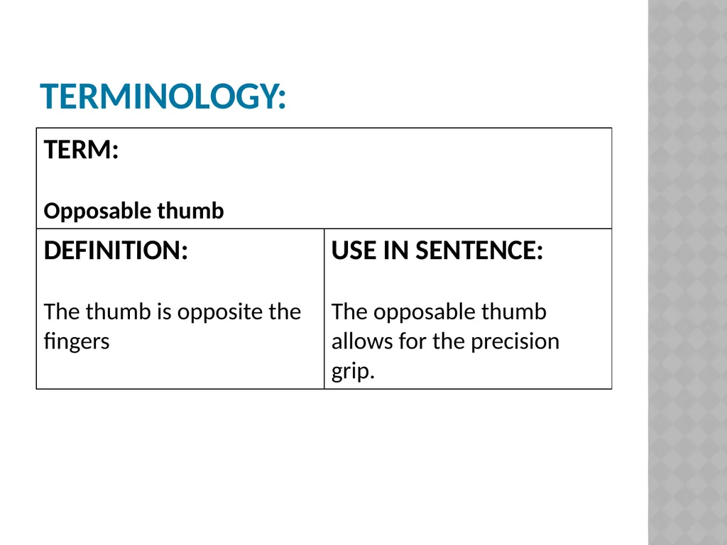 Life sciences Grade 12 CAPS structured, clear, - slide 38 of 93