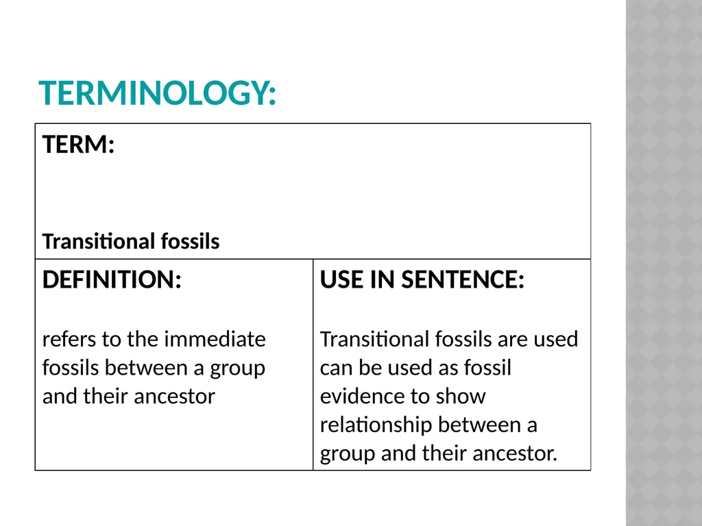 Life sciences Grade 12 CAPS structured, clear, - slide 25 of 93