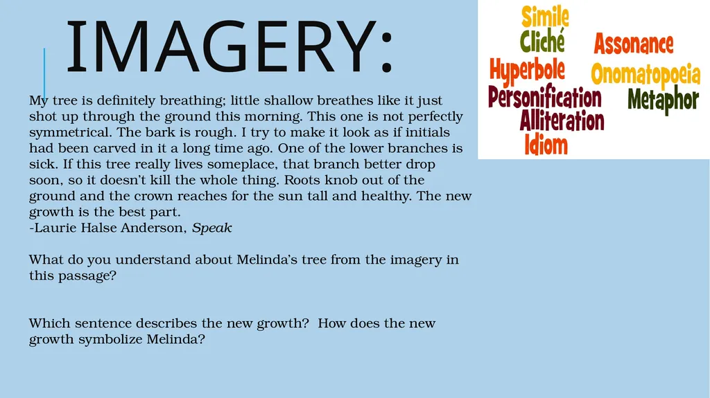 Voice Diction Detail Imagery Syntax Tone Voice - slide 18 of 28