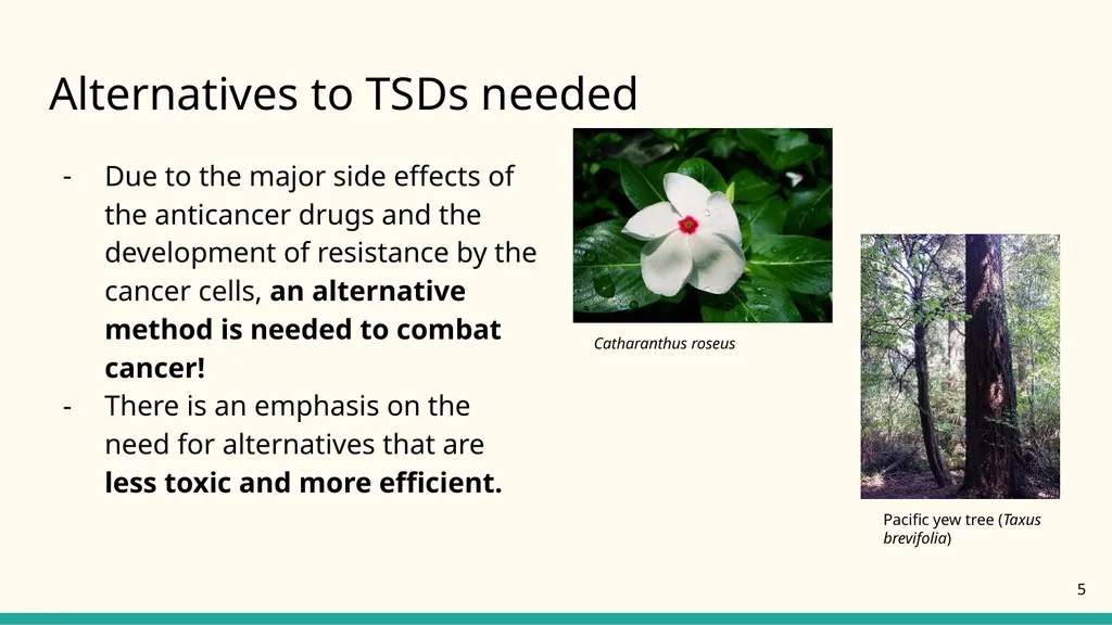 NATIONAL CENTER FOR CASE STUDY TEACHING IN SCIENCE - slide 5 of 17