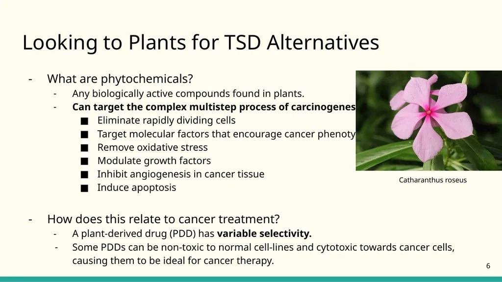 NATIONAL CENTER FOR CASE STUDY TEACHING IN SCIENCE - slide 6 of 17