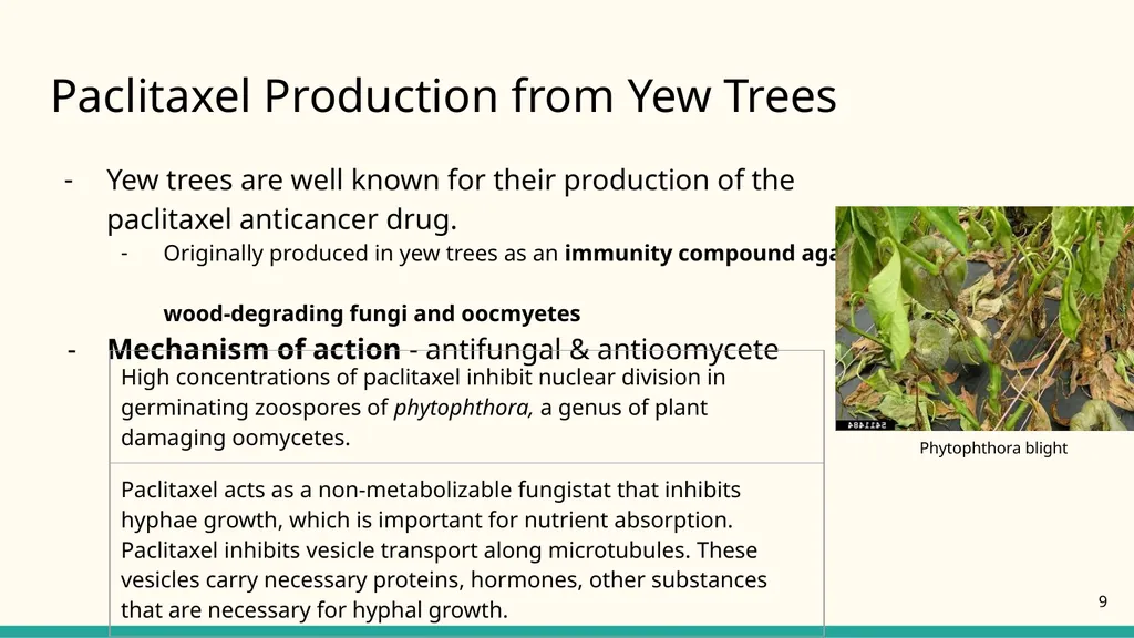 NATIONAL CENTER FOR CASE STUDY TEACHING IN SCIENCE - slide 9 of 17
